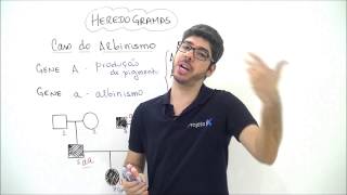 X da Questão Biologia Heredogramas Caso do Albinismo Parte 2 [upl. by Aschim]