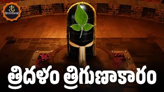 TRIDALAM TRIGUNAKARAM WITH TELUGU LYRICS AND MEANINGS  LORD SHIVA POWERFUL SONGS [upl. by Ytiak966]