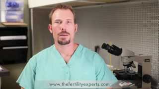 Semen Analysis for Male Infertility [upl. by Walsh]