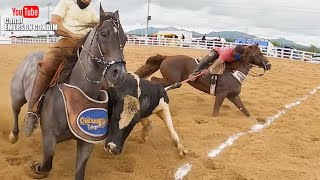 CLASSIFICAÇÃO PROFISSIONAL  VAQUEJADA PARQUE CICERA DOS SANTOS EM PAULIASTA PARAÍBA [upl. by Botnick]