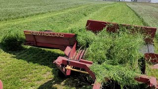 Farmer Talks  Rye vs Ryegrass [upl. by Waddle]