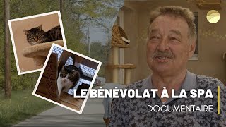 Le bénévolat à la SPA  Documentaire [upl. by Llerral]