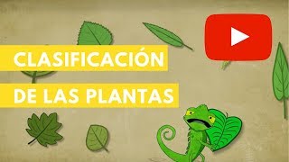 Clasificación de las plantas  Camaleón [upl. by Henrietta]