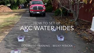 Scent WorkNose Work Buried Hides  How to set up AKC Water Hides [upl. by Eeimaj]