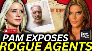 BOMBSHELL New Epstein Info May IMPLICATE US Intel in Criminal Black Ops [upl. by Rhodes474]