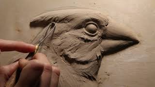 Kellie Pereira  Cardinal Portrait Bas Relief Sculpture Process  Instructional Video [upl. by Ahsinac]