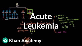 Leukemia classifications  Hematologic System Diseases  NCLEXRN  Khan Academy [upl. by Elenaj]