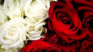 Damanhur Music of the Plants  Red and White Roses playing music  relax nature sounds [upl. by Gardiner]