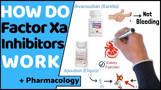 How do Factor Xa Inhibitors Work DOACs [upl. by Brig73]