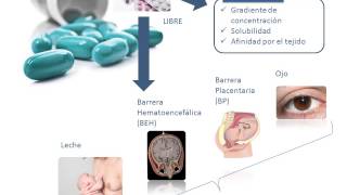 Tema 3 FARMACOCINÉTICA Distribución [upl. by Eecats]