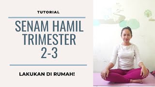 Panduan Mudah Senam Hamil Trimester 2  3 di rumah [upl. by Erastus]