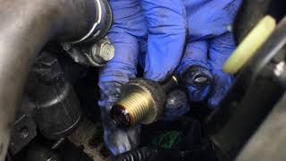 Honda PCV Valve Replacement Accord CRV etc 4 Cylinder [upl. by Enyawad]