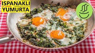 Ispanaklı Yumurta  Yumurtalı Ispanak [upl. by Aihsit]