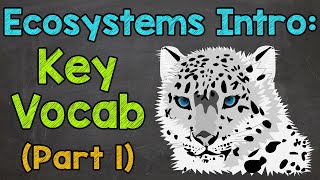 Ecosystems Vocabulary Part 1  Ecosystems Introduction  Science with Mr J [upl. by Georgeta]