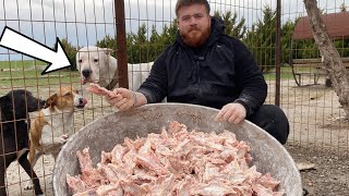 KÖPEKLERİME TAVUK ZİYAFETİ 60 KG [upl. by Neeli628]