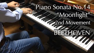 月光ソナタ 第2楽章（ベートーヴェン）Beethoven  quotMoonlightquot Sonata  2nd Movement  pianomaedaful [upl. by Brigitta]