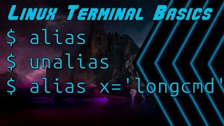 Linux Terminal Basics Alias Command [upl. by Atimed]