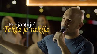 Pedja Vujic  Tekla je rakija  Bekrija Cover 2021 [upl. by Annet367]