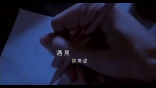 孫燕姿 Sun YanZi  遇見 Encounter official 官方完整版MV [upl. by Yule]