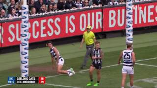 Round 6 AFL  Geelong v Collingwood Highlights [upl. by Leerzej]