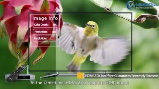 HiMedia Q5 Pro Profile 1080P [upl. by Eiramaliehs]