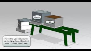 Swarm Control using the Demaree Method [upl. by Eilesor]