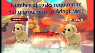 How many tasks to make pet fully grown in Adopt Me [upl. by Allista]