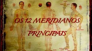 OS 12 MERIDIANOS PRINCIPAIS Canais de Energia na Medicina Tradicional Chinesa [upl. by Annais]