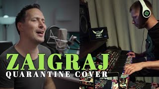 PEDJA JOVANOVIC amp ALEKSANDAR STEVIC  ZAIGRAJ COVER [upl. by Alburga858]