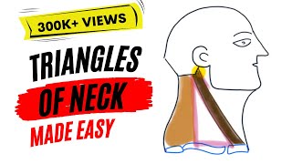 Triangles of neck made easy [upl. by Anai573]