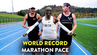 Running the Kipchoge Challenge World Record Marathon Pace with Zach Levet [upl. by Assadah756]