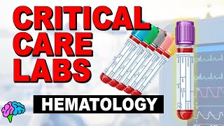 Hematology  Complete Blood Count CBC  Critical Care Labs [upl. by Lisan]