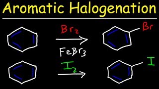 Aromatic Halogenation Mechanism  Chlorination Iodination amp Bromination of Benzene [upl. by Atrebla164]