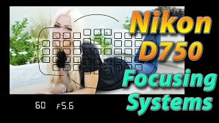 Nikon D750 Tutorial Training  Focusing Systems  How to [upl. by Bassett]