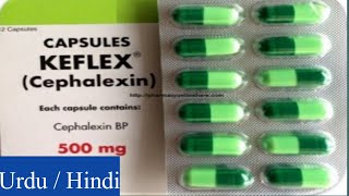 Keflex Cephalexin Capsules uses side effects and Warning [upl. by Buff]