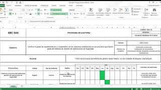 Ejemplo Programa de auditoria [upl. by Brandtr999]