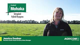 Mohaka Tetraploid Hybrid Ryegrass  Agricom Spring 2020 [upl. by Baxie]