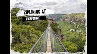 ZIPLINING AT LAKE ELAND ORIBI GORGE [upl. by Evannia719]