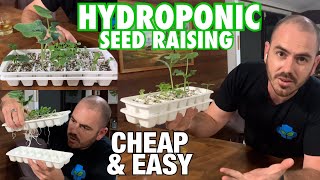 Cheap amp Easy DIY Hydroponic Seed Raising Technique [upl. by Sunderland]