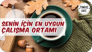 Ders Çalışırken Odaklanmanı ve Konsantrasyonunu Artıracak Müzikler  2 Pomodoro  Tonguç Kafe [upl. by Rosalyn]