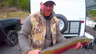 Slaying Spring Steelhead  Idaho [upl. by Nerrag65]