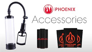 The Phoenix  Accessories [upl. by Villiers228]