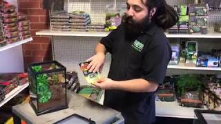 Complete Arboreal Tarantula Setup at LLLReptiles Oceanside Store [upl. by Niveb885]