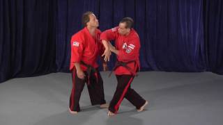 Kenpo Self Defense Technique Sample Video [upl. by Mcgray466]