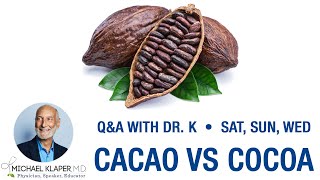 Cacao vs Cocoa  Cacao Benefits Whats The Difference Is It Healthy [upl. by Ieso432]