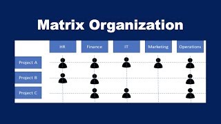 What is a Matrix Organization [upl. by Notsirt]