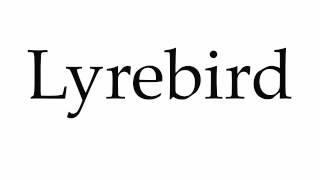 How to Pronounce Lyrebird [upl. by Elletnwahs]