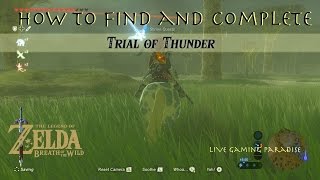 Breath of the Wild  Trial of Thunder Location and Guide [upl. by Keeryt]