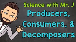 Producers Consumers and Decomposers  Ecosystems [upl. by Josias744]