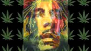 Bob Marley  Buffalo Soldier remix [upl. by Evoy]